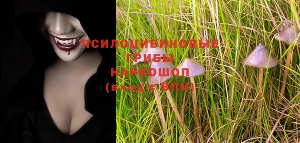 соль ск Бронницы
